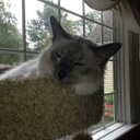 Matthew Gerst - @MatthewGerst - Twitter