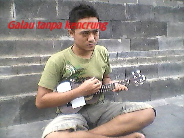 Woles