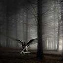 Chris Coetzee - @chrisc175 - Twitter