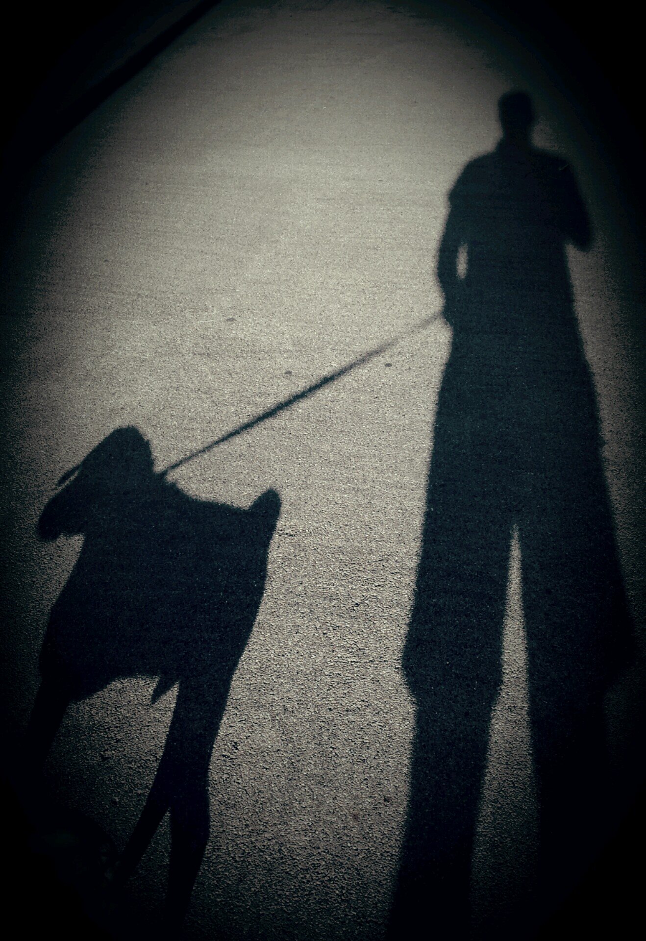 paolito11's profile picture. Heroes fight like Greeks