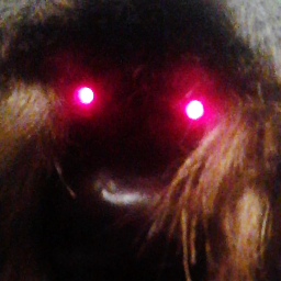 MT_FollowBack's profile picture. Congratulations you found me!  I am 1 of 12 hidden trolls on Twitter.   Follow me and I shall follow you in return.