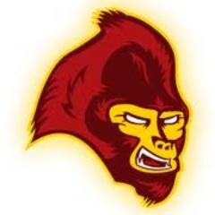2nd string LB University of Phoenix