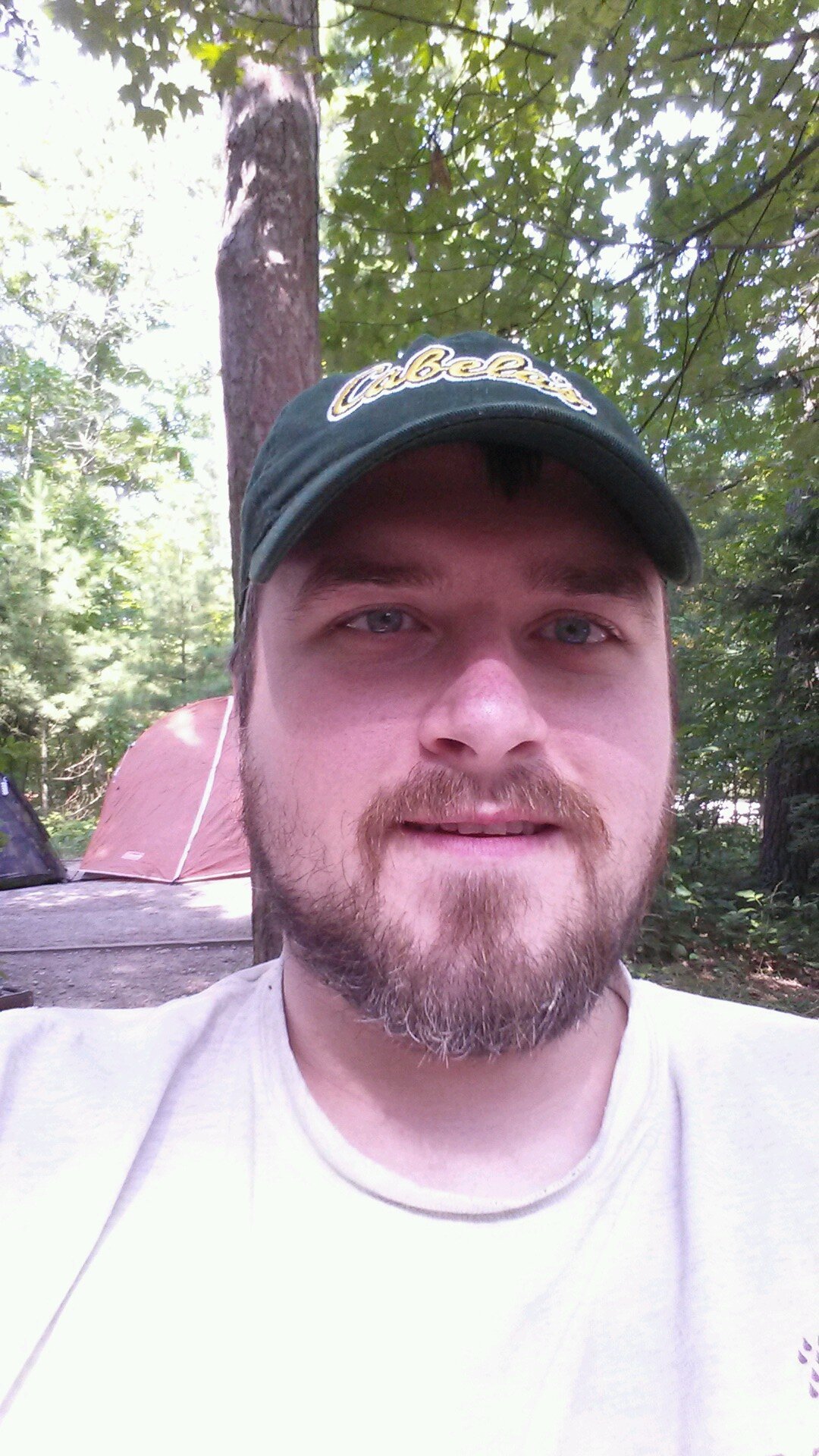 bobbinferbears's profile picture. The mundane and profound musings of my abnormally normal life