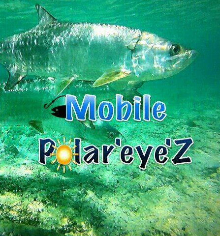 Polarized lens for cell phone to take photos without glare! Just like polarized glasses on mobile device! Works w/any camera phone! http://t.co/B7riJ4OzrV