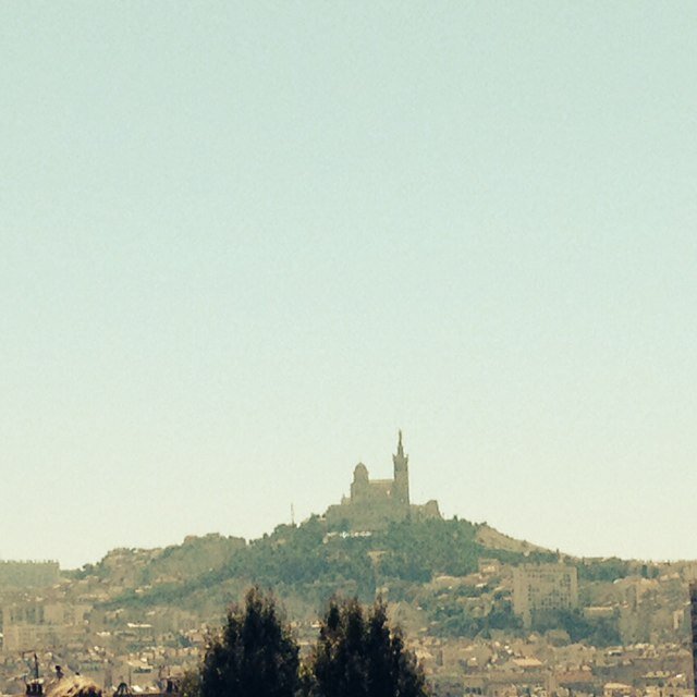 blacksteevo's profile picture. 