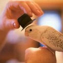 ƒα7∂ αℓ zωу7яу (@0554678771) Twitter
