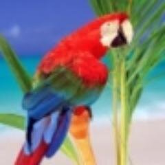 Un nuevo website pago para promover tus videos comerciales y profesionales, Visitenos!.