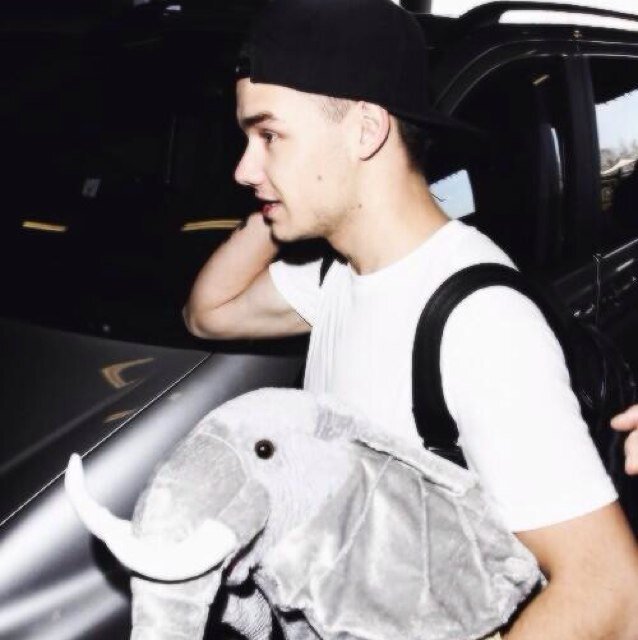 Follow @payneadoree pls so close to goal. Ily