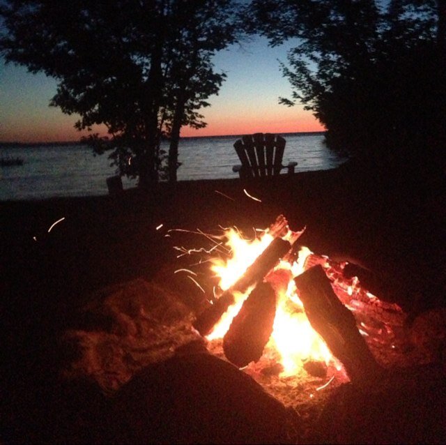 donnamsmith1's profile picture. 