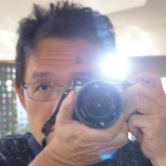 16UE's profile picture. I support Tesla's mission to accelerate the world's transition to sustainable transportation and energy.