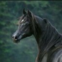 سفير الشعر (@0050200502) Twitter