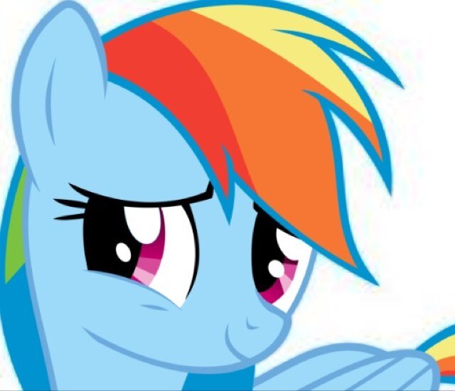 Hi i am a brony but my fav pony is rainbowdash. Rainbow dash all the way. And my mare friend @wonderbolt1. I follow back, lets get 200 followers.