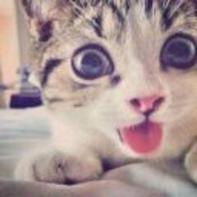 Follow @gammaplease thaaaanks. xx