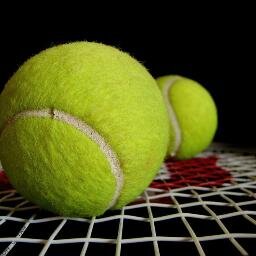 Cybersec Analyst, tennis, cycling, animal welfare