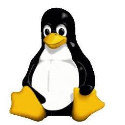 Ingeniero en Computación apasionado de la política, la economía y los sistemas UNIX/Linux.