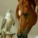 تراتيل₩الروح (@05mhbail8766) Twitter
