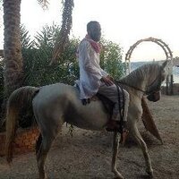 tarek omar (@tektribe1) 's Twitter Profile