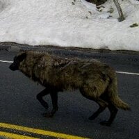 J. R. Hall (@jrhalloru) 's Twitter Profile