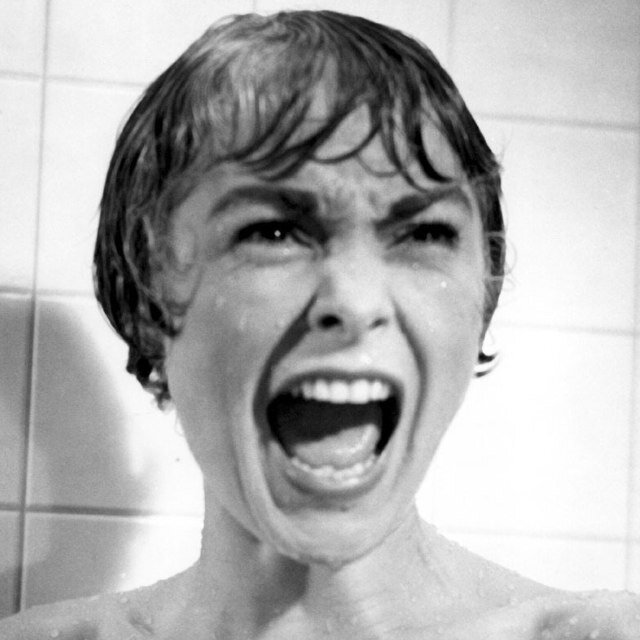 taraxcamille's profile picture. begin.