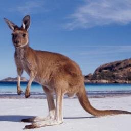 tours and things to do in Australia