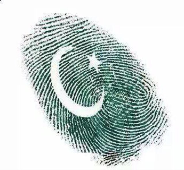 gtayabg's profile picture. Green blood Pakistani