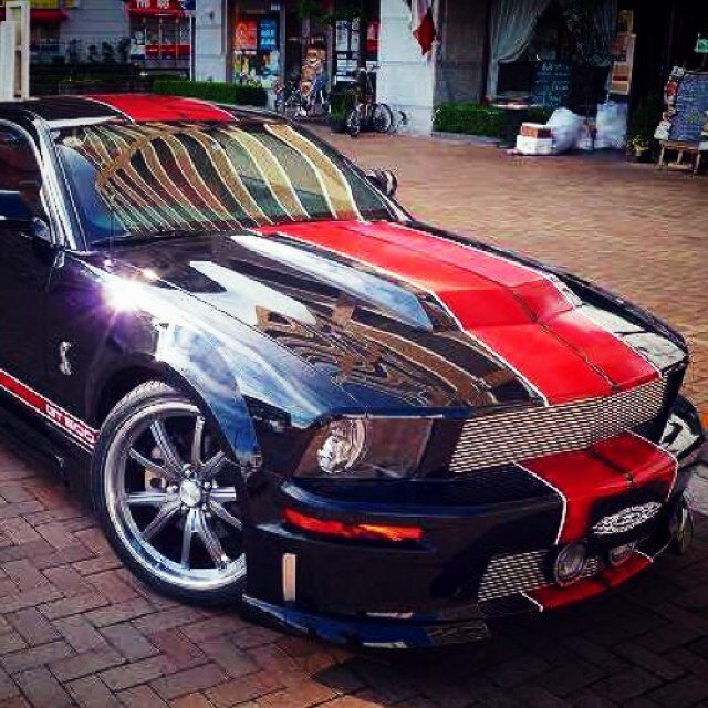 LionMHSP's profile picture. 