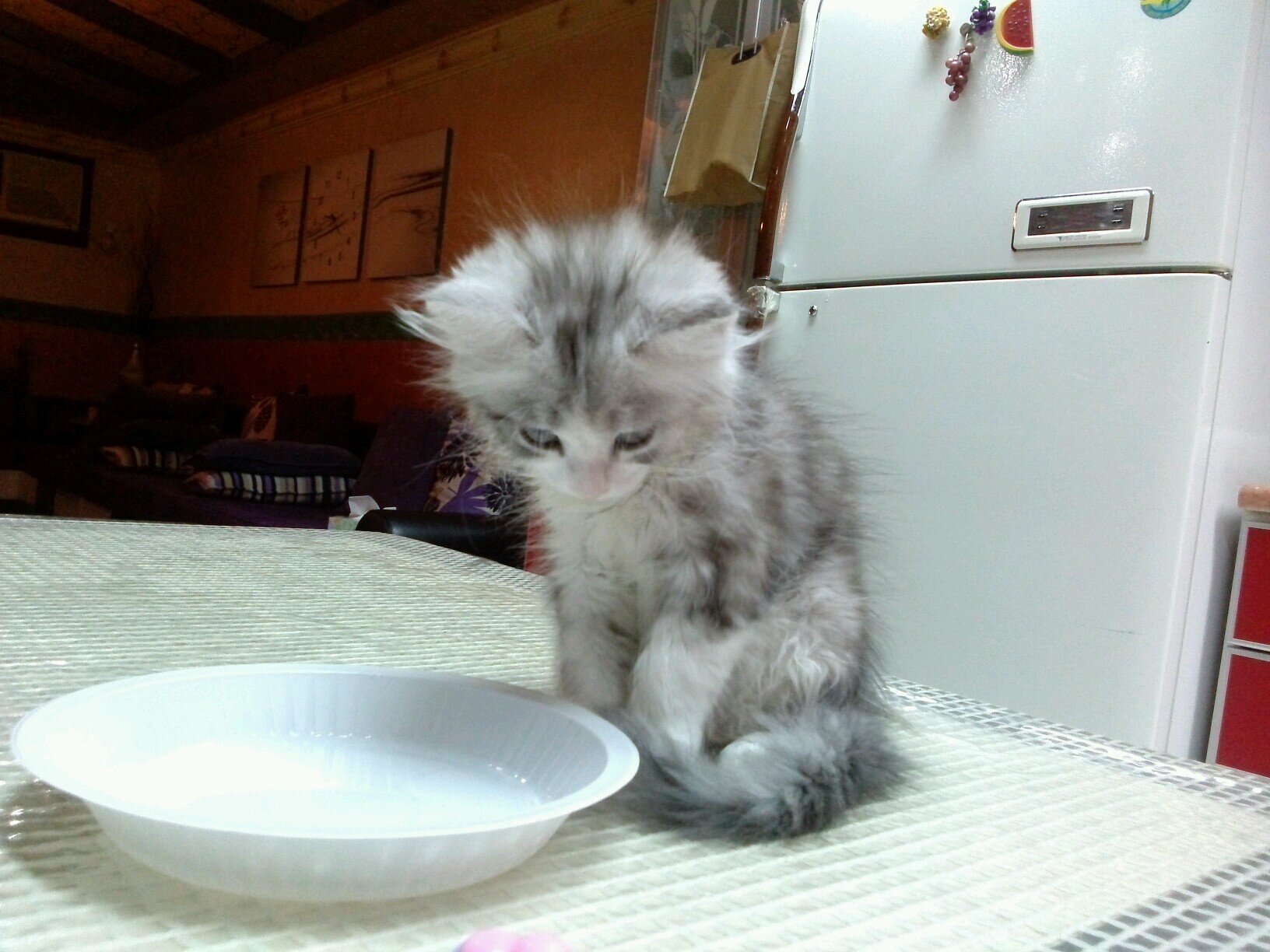 loda_looda's profile picture. لا اله الا الله محمد رسول الله