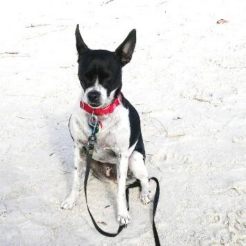 kalowa's profile picture. 