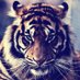 Stelly (@stellylaw28) Twitter profile photo