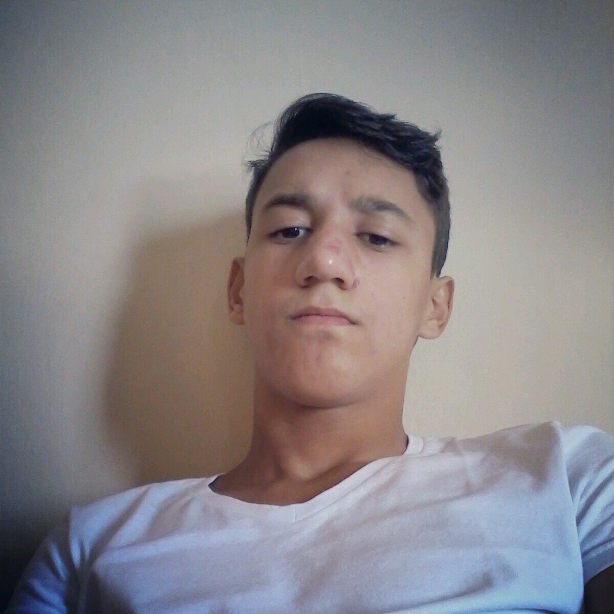 lealdade humildade e procedimento.