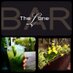 The Lane Bar (@the_lane_bar) Twitter profile photo The Lane Bar (@the_lane_bar) Twitter profile photo