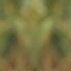 eyaddiab370's profile picture. https://t.co/QTTqFGHWEQ