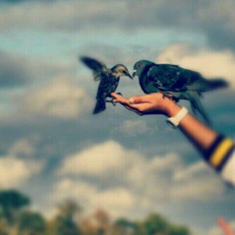 34_ro7y's profile picture. 