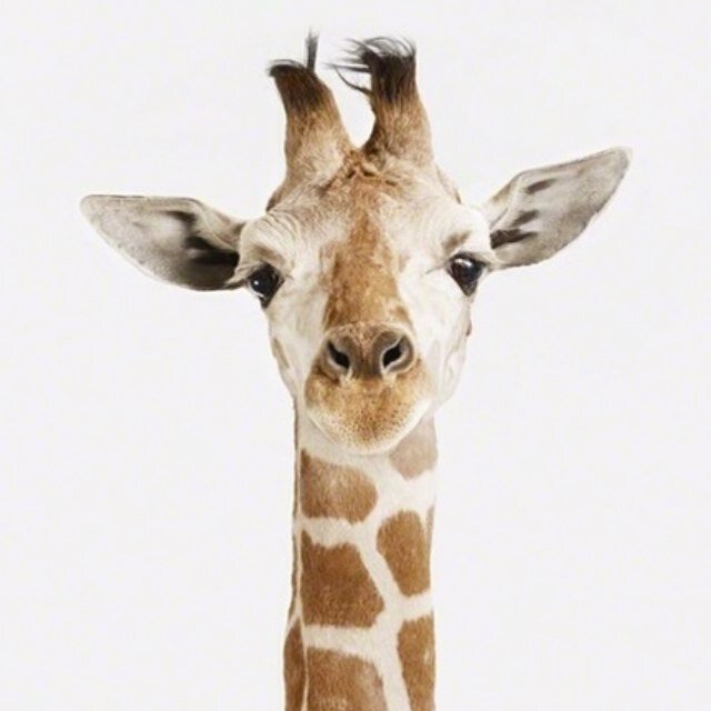 yafeelme_'s profile picture. Just doing my thing, ya feel me?