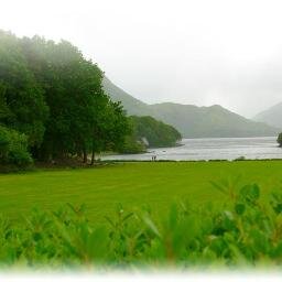 netincome2013's profile picture. 