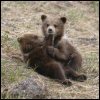 Автомобиль не роскошь #ЧитаюВзаимно #ВзаимныйФолловинг