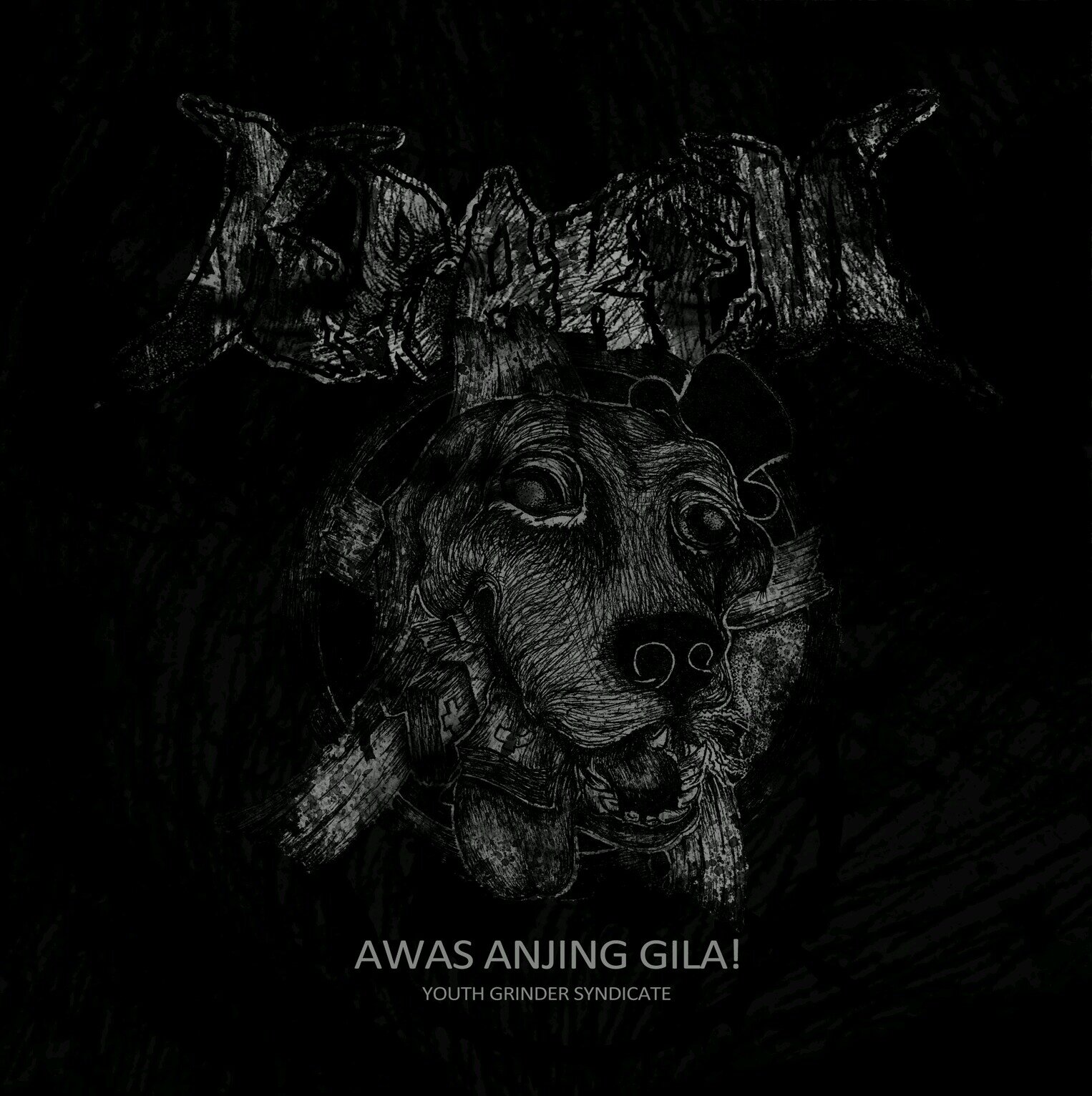 Awas anjing gila!! Grindcore/hc/punk Youth Grinder Syndicate @sultan_bima @ITHIING @bokirikob @momowidi