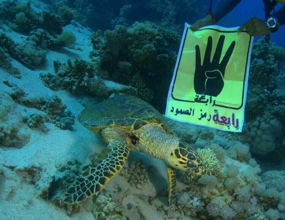 Water_2111's profile picture. 