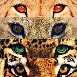 ♔리밋의 도담♔さんのプロフィール画像