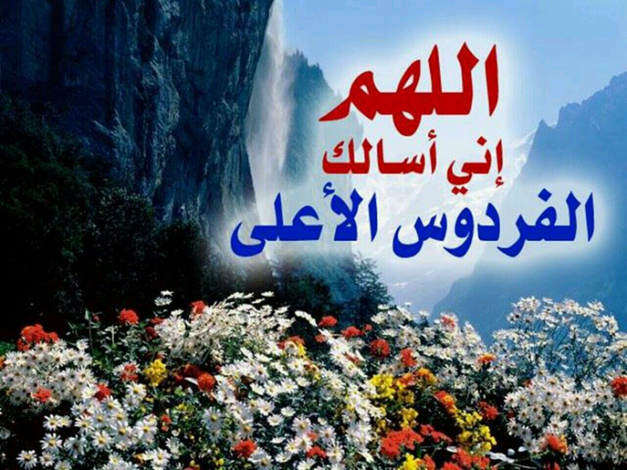 trtttttrvg's profile picture. 