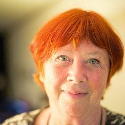 wijkraadslid liskwartier, kunst en cultuurliefhebber en vergadertijger