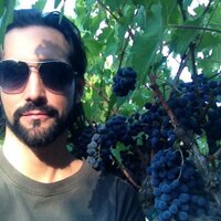 Dylan Sheldon (@wine_guy73) 's Twitter Profile
