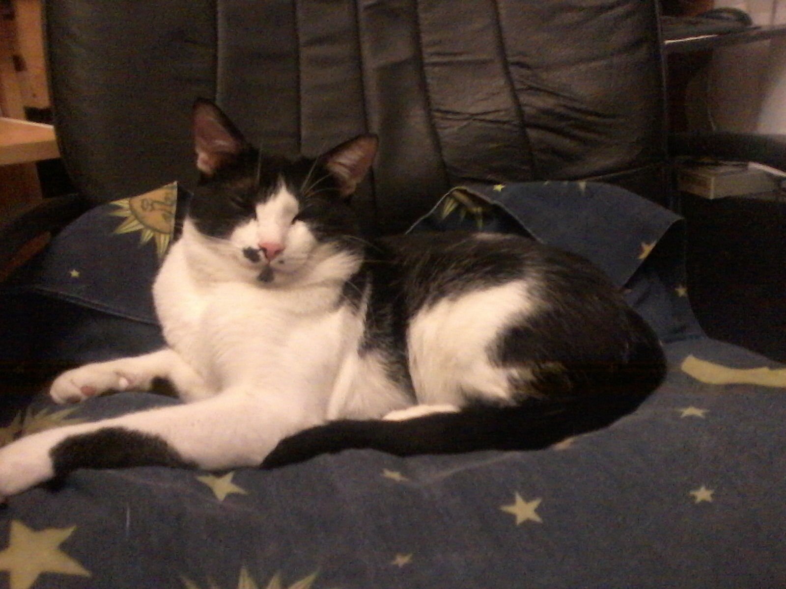 severus494's profile picture. 