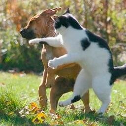 valenti27051839's profile picture. Правда у каждого своя...а истина всегда одна..Истина - это Господь...от того,что вы истину не признаете, она этого нисколько не страдает