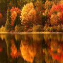 Serena Dean - @renie_dean - Twitter