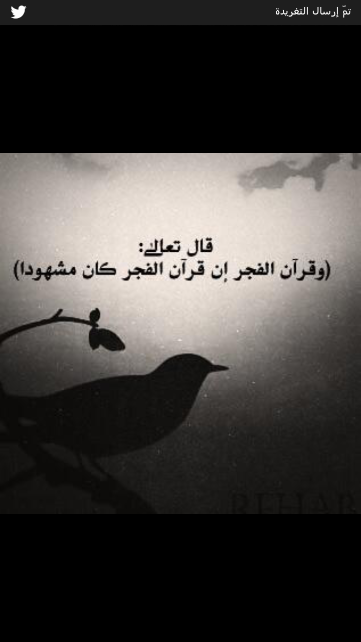 ‏‏‏‏‏ادخل إلى يومك وأنت تحسن الظن بالله ولا تتوقع إلا الأفضل فتوجهك نحو الحياة يحدد توجه الحياة نحوك , التوجه الجيد يمنحك الوقود لتحقيق هدفك  .