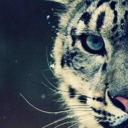 XIV. Que aunque ahora todo gire en otra dirección, no hay nada perdido. No entendemos el valor de los momentos hasta que se han convertido en recuerdos.
