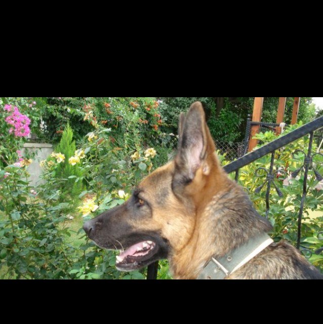 muratoilhan's profile picture. 