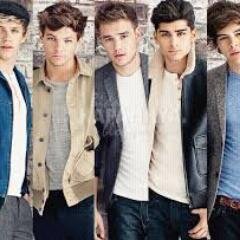 Nivel 14.Aries,optimista y luchadora,todo es posible si crees de verdad en ello. #Directioner