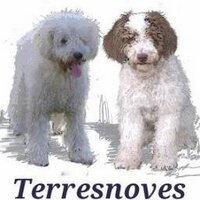 terresnoves 🍊 (@deterresnoves) 's Twitter Profile